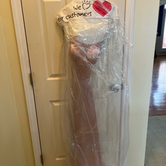Betsy & Adam size 6 full length formal in blush pink- dry cleaned - Picture 4 of 8